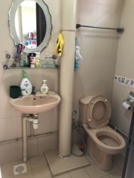 Blk 870 Tampines Street 83 (Tampines), HDB 4 Rooms #176634192